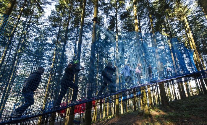 Treetop Nets walkways